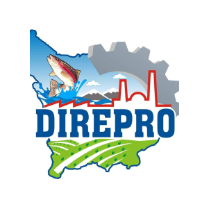 Direpro-logo1